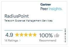 gartner_review RadiusPoint Gartner Peer Insights review