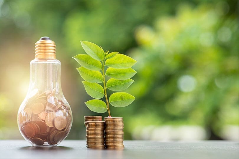 Utility Expense Management 10 lightbulb full of coins sits beside coin stacks with a plant resting on top